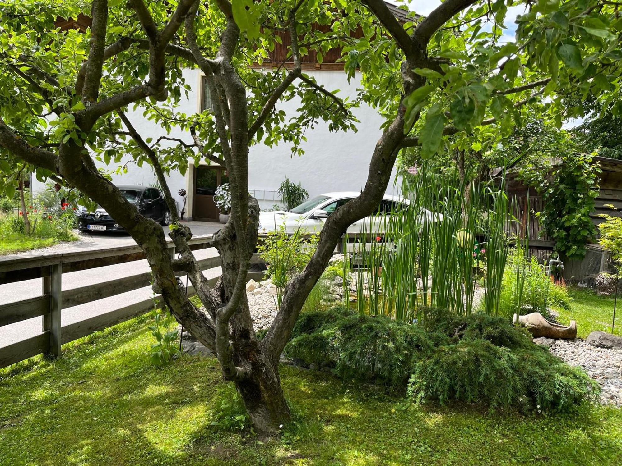 Bergmanns Ferienapartment Debant Экстерьер фото